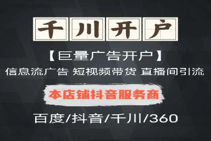 电商SEM推广案例解析